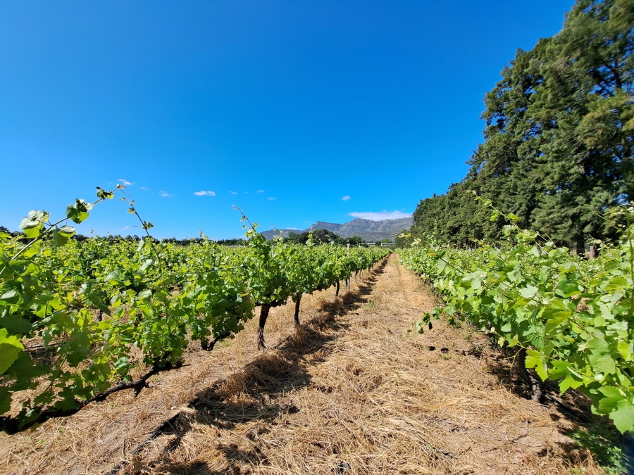 4 Bedroom Property for Sale in Paarl Rural Western Cape